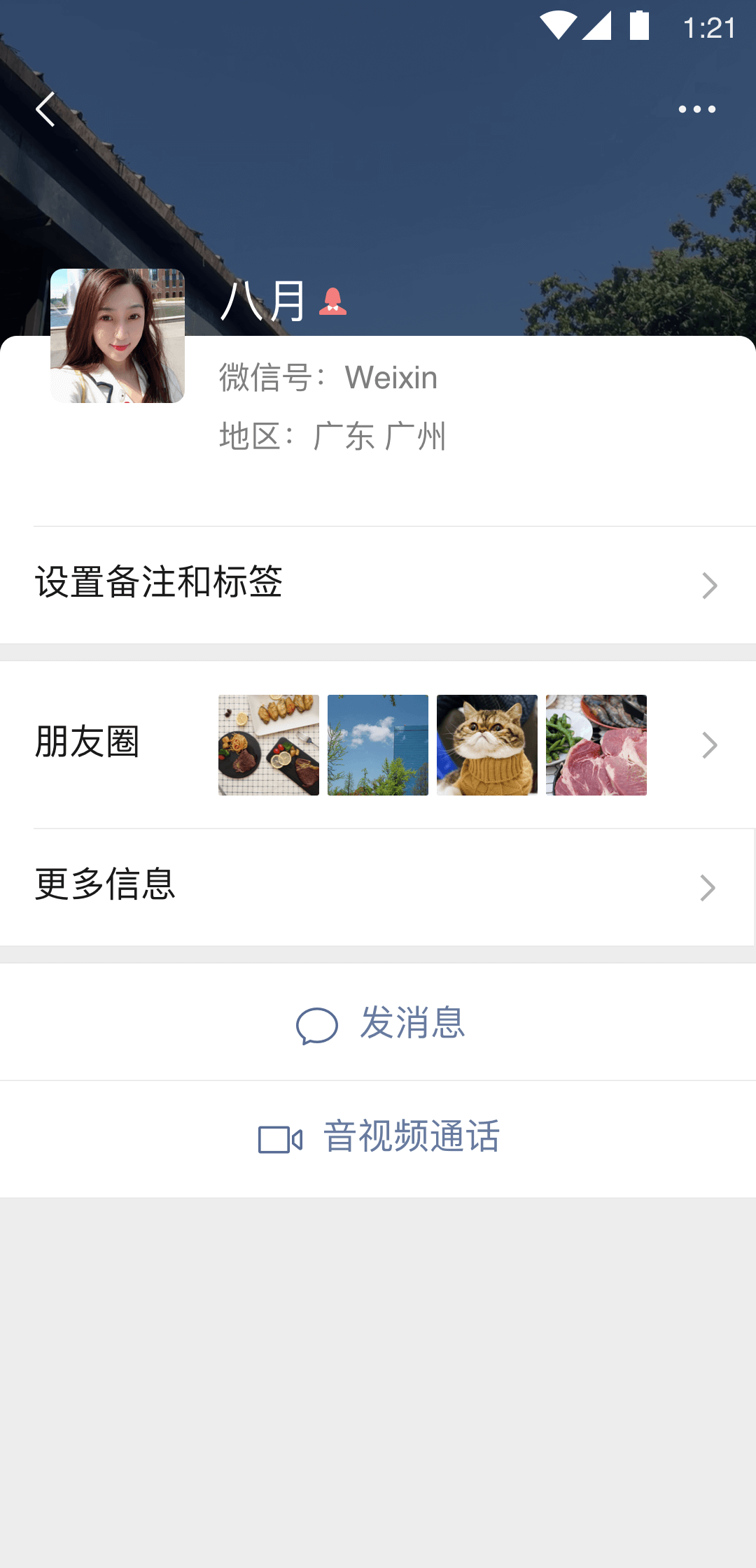 女主冷漠无情厌世强大的马甲小说截图